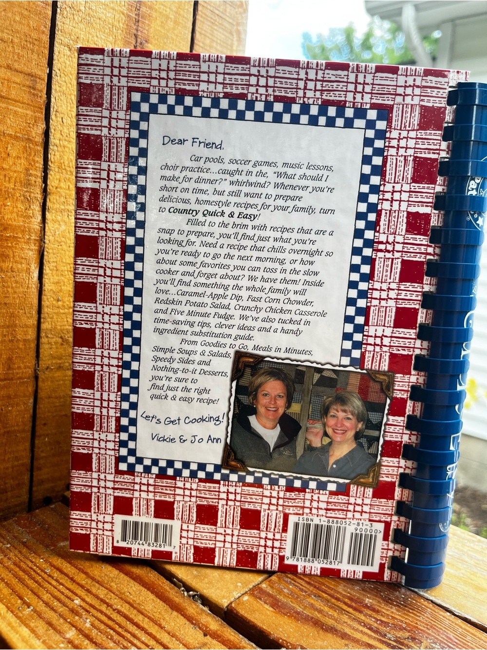 Goose Berry Patch Country Quick & Easy Cookbook - Red Plaid - Picture 4 of 12